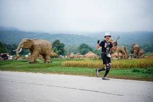 BIB: 
                            <button type="button" onclick="openModal(22407515)" class="btn btn-primary btn-sm float-right btn-popup" data-toggle="modal" data-target=".modal-high-quality">
                        <i class="fas fa-shopping-cart"></i> Add to Cart
                    </button>
                                            <button type="button" onclick="isThisMe(22407515, true)" class="btn btn-success btn-sm float-right btn-popup btn-isme hidden" data-toggle="tooltip" data-placement="bottom" title="นี่คือรูปของคุณใช่ไหม คลิกที่นี่เพื่อเอาเข้าอัลบั้ม">
                        <i class="fas fa-plus"></i> Add to album
                    </button>
                    <button type="button" onclick="isThisMe(22407515, false)" class="btn btn-warning btn-sm float-right btn-popup btn-isnotme hidden">
                        <i class="fas fa-ban"></i> Remove from album
                    </button>